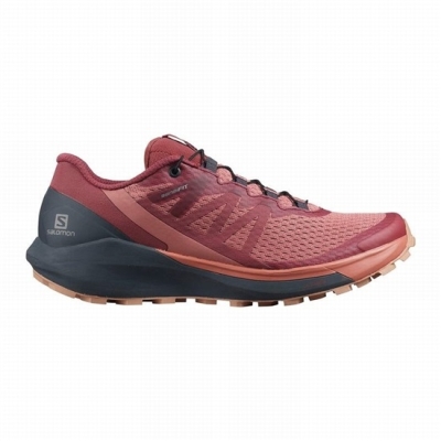 Dark Red Salomon SENSE RIDE 4 Women's Running Shoes | AE-439XTUH