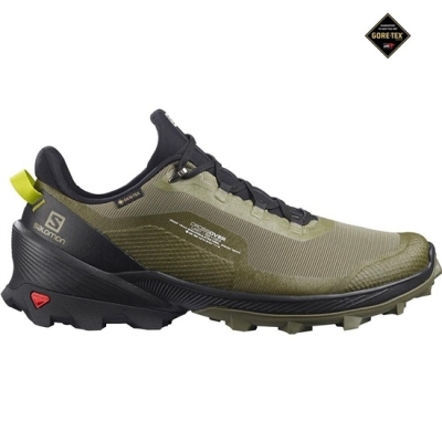 Deep Green Salomon CROSS OVER GORE-TEX Men's Running Shoes | AE-731VHSQ