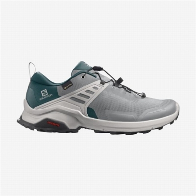 Deep Grey / Turquoise Salomon X RAISE GORE-TEX Men's Hiking Shoes | AE-237LTZR