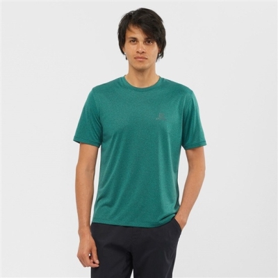 Green Salomon EXPLORE M Short Sleeve Men's T Shirts | AE-798QSRE