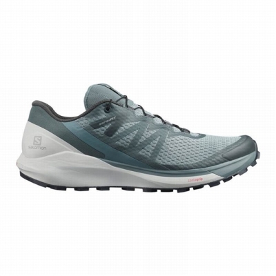 Green Salomon SENSE RIDE 4 Men's Running Shoes | AE-059GWVB