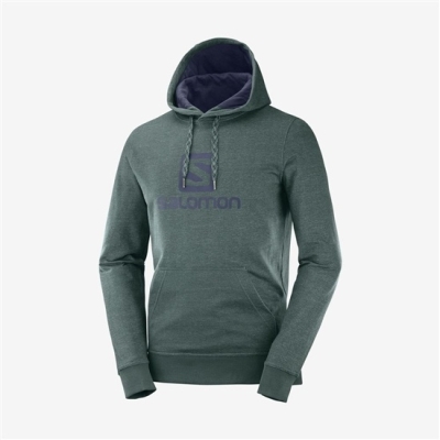 Green Salomon SHIFT HOODIE M Men's Midlayers | AE-087UKNX