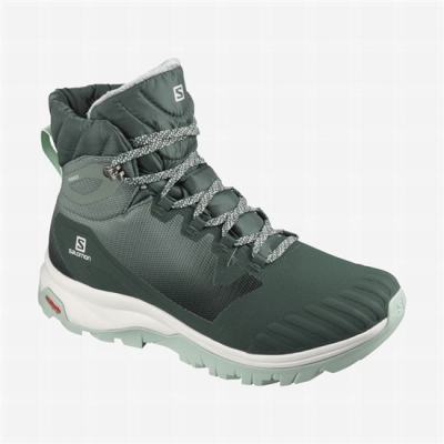 Green Salomon VAYA BLAZE THINSULATE CLIMASALOMON WATERPROOF Women's Winter Boots | AE-567ZLQN