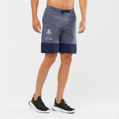 Grey / Navy Salomon XA TRAINING Men's Shorts | AE-654ICWY