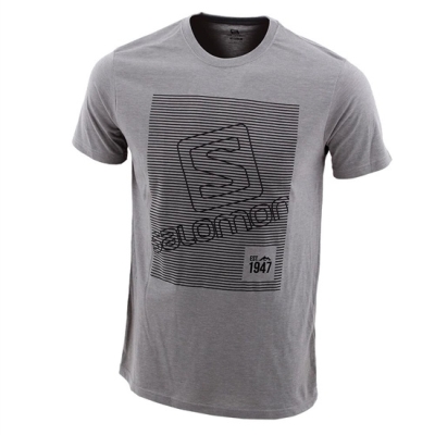 Grey Salomon FINELINE SS M Men's T Shirts | AE-289CPMO