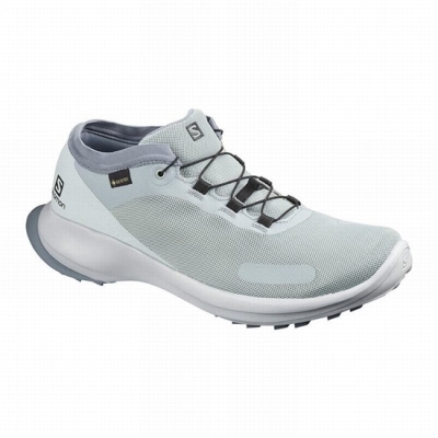 Grey Salomon SENSE FEEL GTX Men's Trail Running Shoes | AE-731NCYM