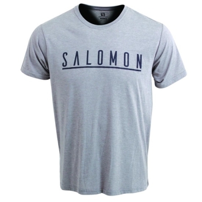 Grey Salomon UNDERSCORE SS M Men's T Shirts | AE-295JRSK