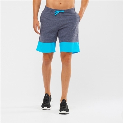 Grey / Sky Blue Salomon XA TRAINING Men's Shorts | AE-307HYSL