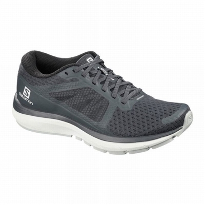 Grey / White Salomon VECTUR Women's Running Shoes | AE-851VLUZ