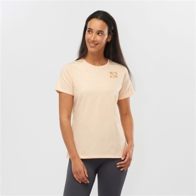 Khaki Salomon OUTLIFE SMALL LOGO SS W Short Sleeve Women's T Shirts | AE-462QHZN