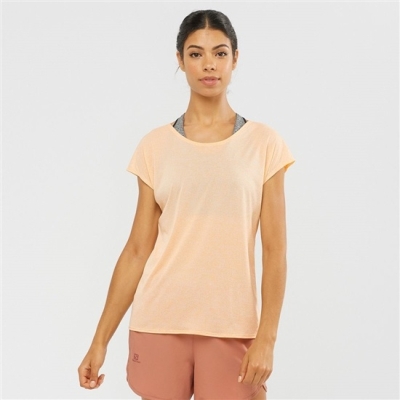 Khaki Salomon XA SLEEVE TECH W Short Sleeve Women's T Shirts | AE-705ZKUA