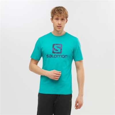 Mint Salomon OUTLIFE LOGO Short Sleeve Men's T Shirts | AE-356BDSJ