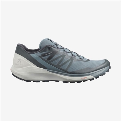 Mint Salomon SENSE RIDE 4 Men's Trail Running Shoes | AE-951YXPA