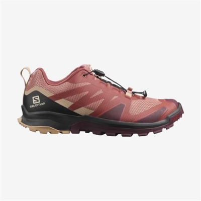 Multicolor Salomon XA ROGG Women's Trail Running Shoes | AE-945BSWZ