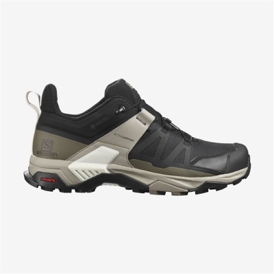 Multicolor Salomon X ULTRA 4 GORE-TEX Men's Hiking Shoes | AE-301SJUB