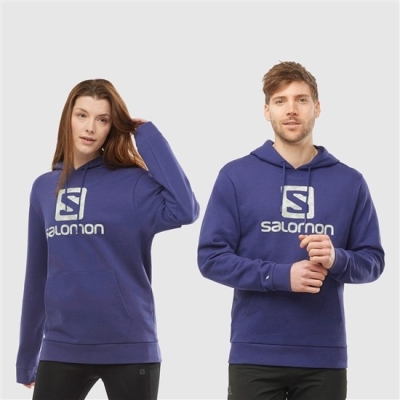 Navy Salomon OUTLIFE LOGO SUMMER Sportswear Men's Hoodie | AE-879XTAD