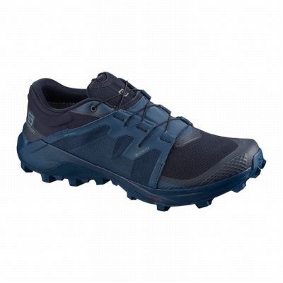 Navy Salomon WILDCROSS GTX Men's Trail Running Shoes | AE-085LUCJ