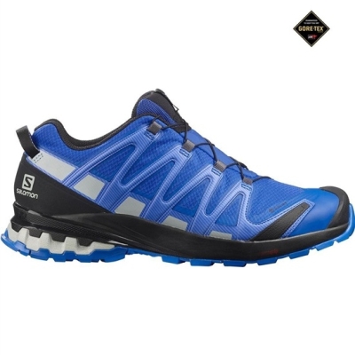 Navy Salomon XA PRO 3D V8 GORE-TEX Men's Trail Running Shoes | AE-350MVTK