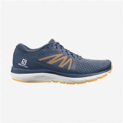 Navy / White Salomon VECTUR Men's Running Shoes | AE-530ITLW