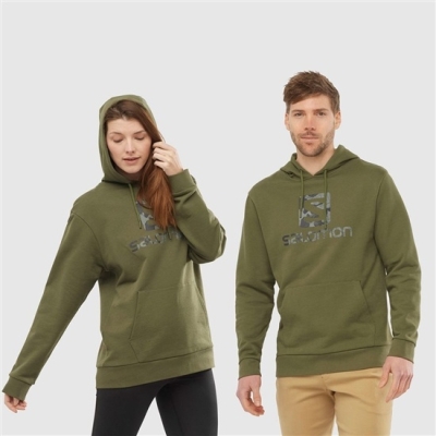 Olive Salomon OUTLIFE LOGO SUMMER Sportswear Men's Hoodie | AE-038NGWA