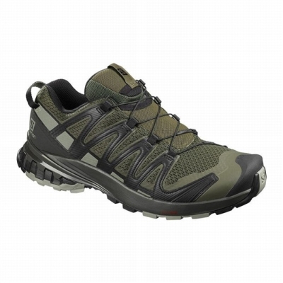 Olive Salomon XA PRO 3D V8 Men's Trail Running Shoes | AE-296EDLS