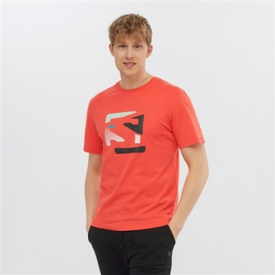 Orange Salomon OUTLIFE GRAPHIC DISRUPTED LOGO SS M Short Sleeve Men's T Shirts | AE-610AZSH