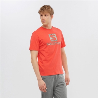 Orange Salomon OUTLIFE LOGO Short Sleeve Men's T Shirts | AE-578YUAZ