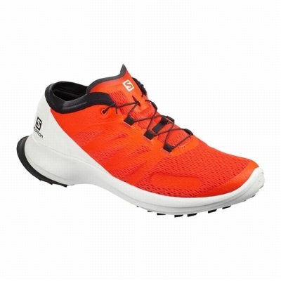 Orange Salomon SENSE FLOW Men's Trail Running Shoes | AE-804GJFL