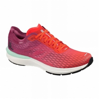 Pink / White Salomon SONIC 3 ACCELERATE Men's Running Shoes | AE-604SAVT