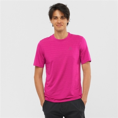 Purple Salomon OUTLINE New Trail Running Gear Men's T Shirts | AE-684ZNXF