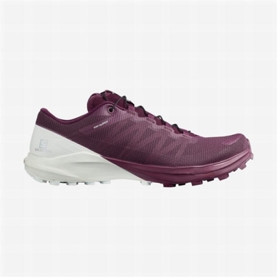 Purple / White Salomon SENSE PRO 4 Women's Trail Running Shoes | AE-841UXNV