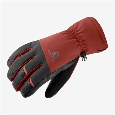 Red Salomon PROPELLER DRY M Men's Gloves | AE-387CSMA