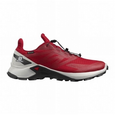 Red Salomon SUPERCROSS BLAST GTX Men's Trail Running Shoes | AE-650IBTR