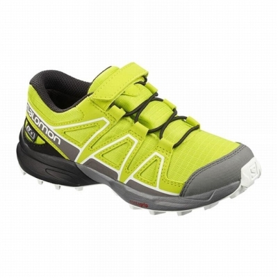 Rose / Black Salomon SPEEDCROSS CLIMASALOMON WATERPROOF Kids' Trail Running Shoes | AE-920LPDB