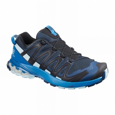 Royal Salomon XA PRO 3D V8 Men's Hiking Shoes | AE-846HWLZ