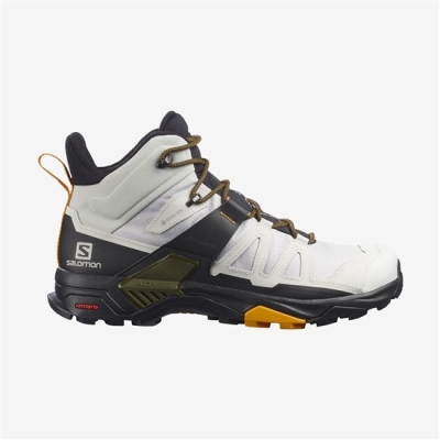 Sliver Salomon X ULTRA 4 MID GORE-TEX Men's Hiking Boots | AE-407KLWR