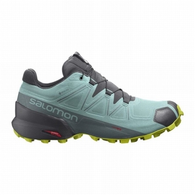 Turquoise / Dark Grey Salomon SPEEDCROSS 5 GORE-TEX Women's Trail Running Shoes | AE-063PNBX