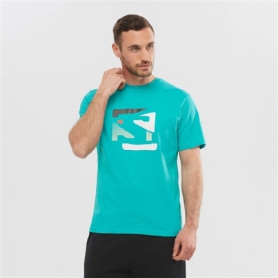 Turquoise Salomon OUTLIFE GRAPHIC DISRUPTED LOGO SS M Short Sleeve Men's T Shirts | AE-471DZVT