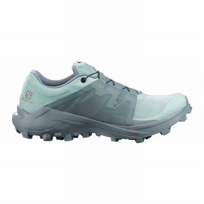 Turquoise / Turquoise Salomon WILDCROSS GTX Women's Trail Running Shoes | AE-789NXDL