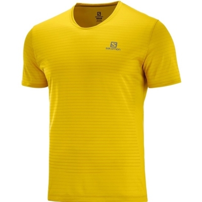 Yellow Salomon SENSE M Men's T Shirts | AE-036PGKX